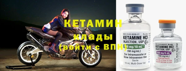 шишки Заволжск