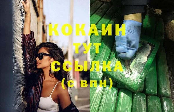индика Елизово