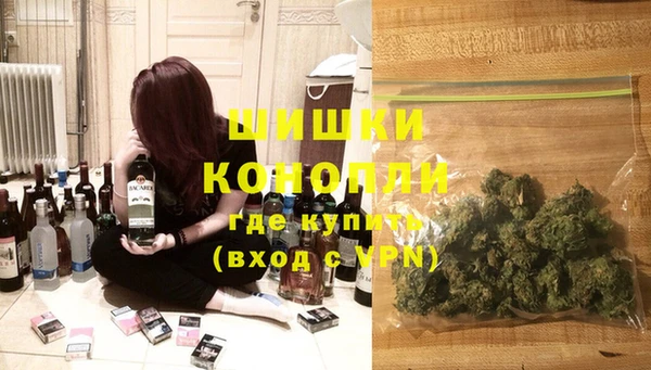 индика Елизово