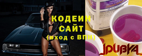 индика Елизово