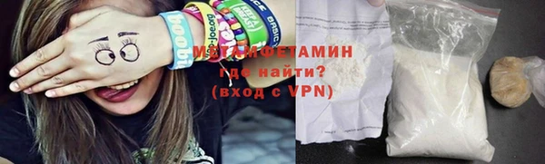индика Елизово