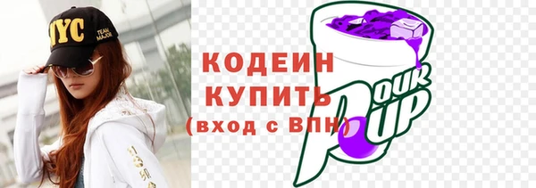 индика Елизово