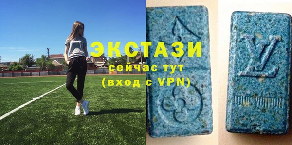 индика Елизово
