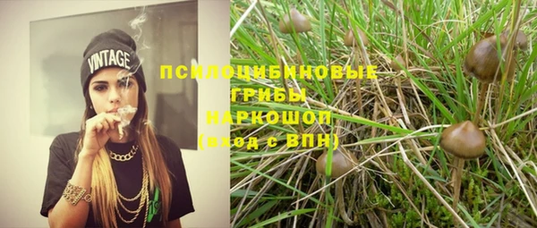 ешки Елабуга