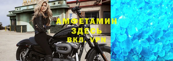 индика Елизово