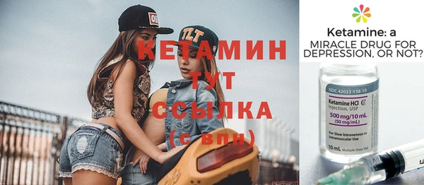шишки Заволжск