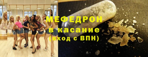 индика Елизово
