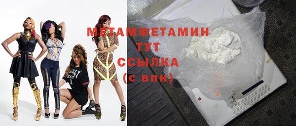 индика Елизово