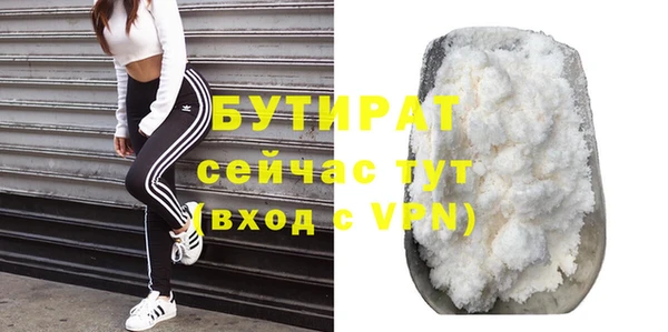 индика Елизово