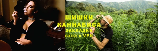 шишки Заволжск